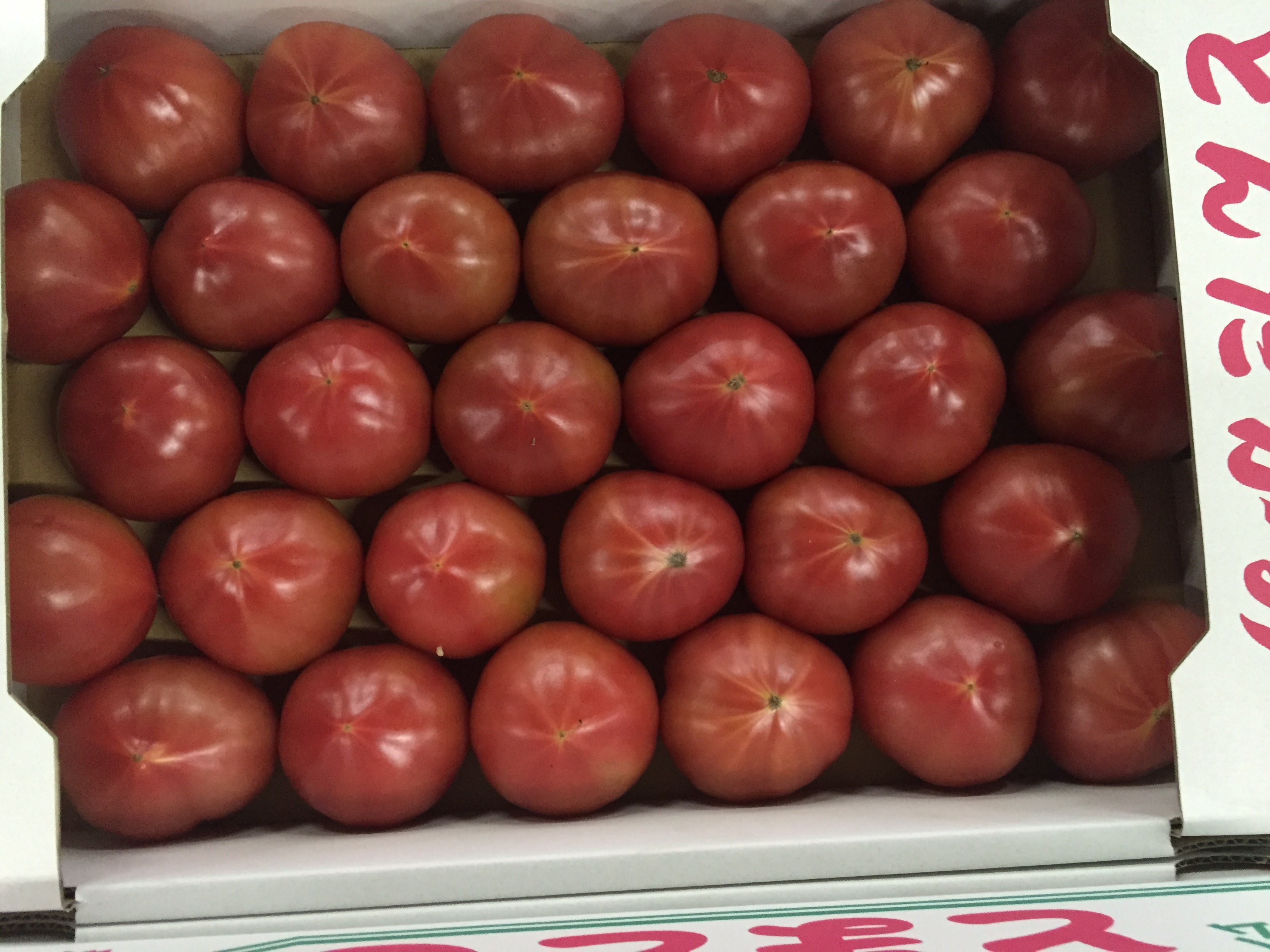 若松産、濃縮トマト