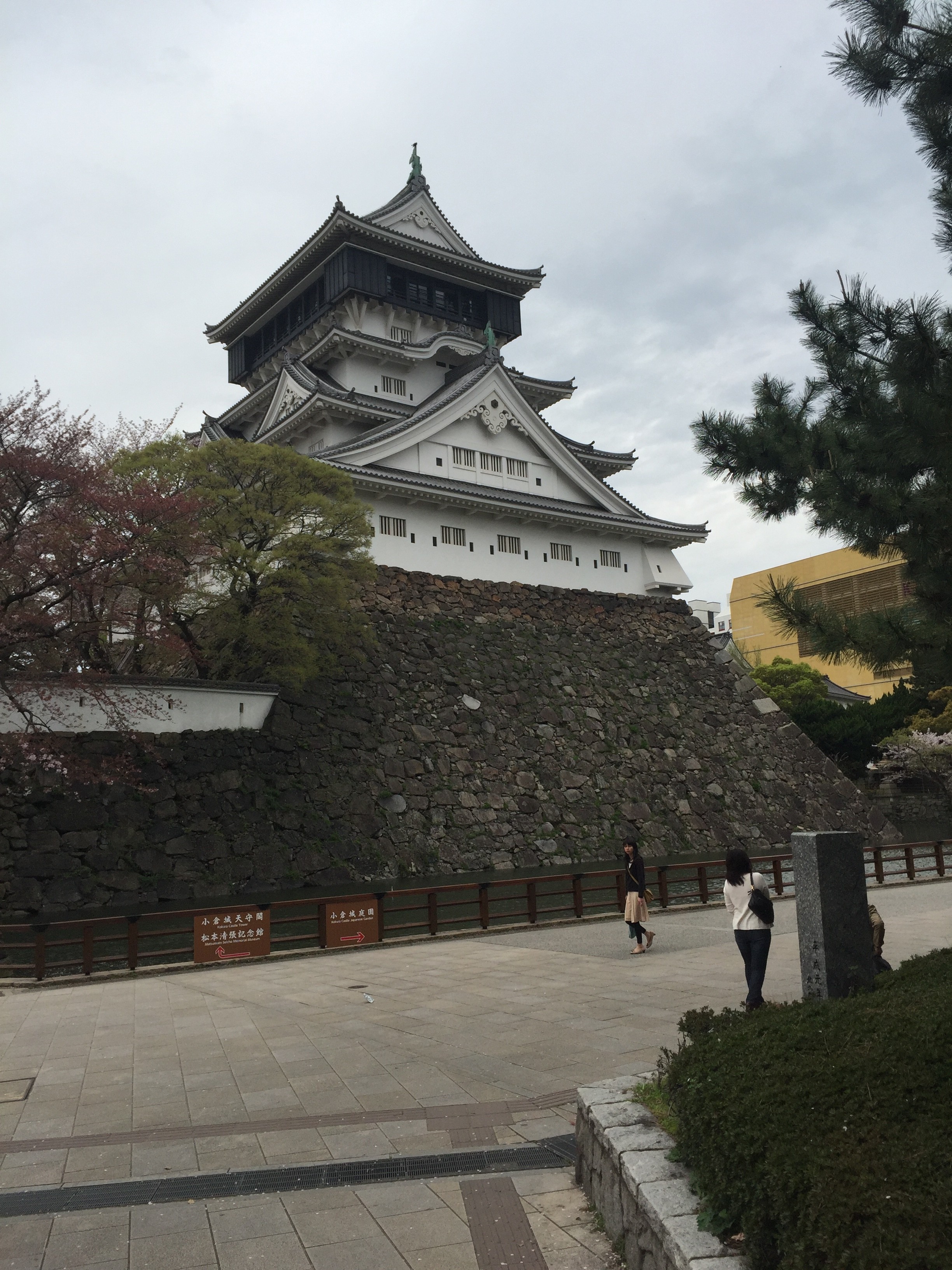 小倉城の桜