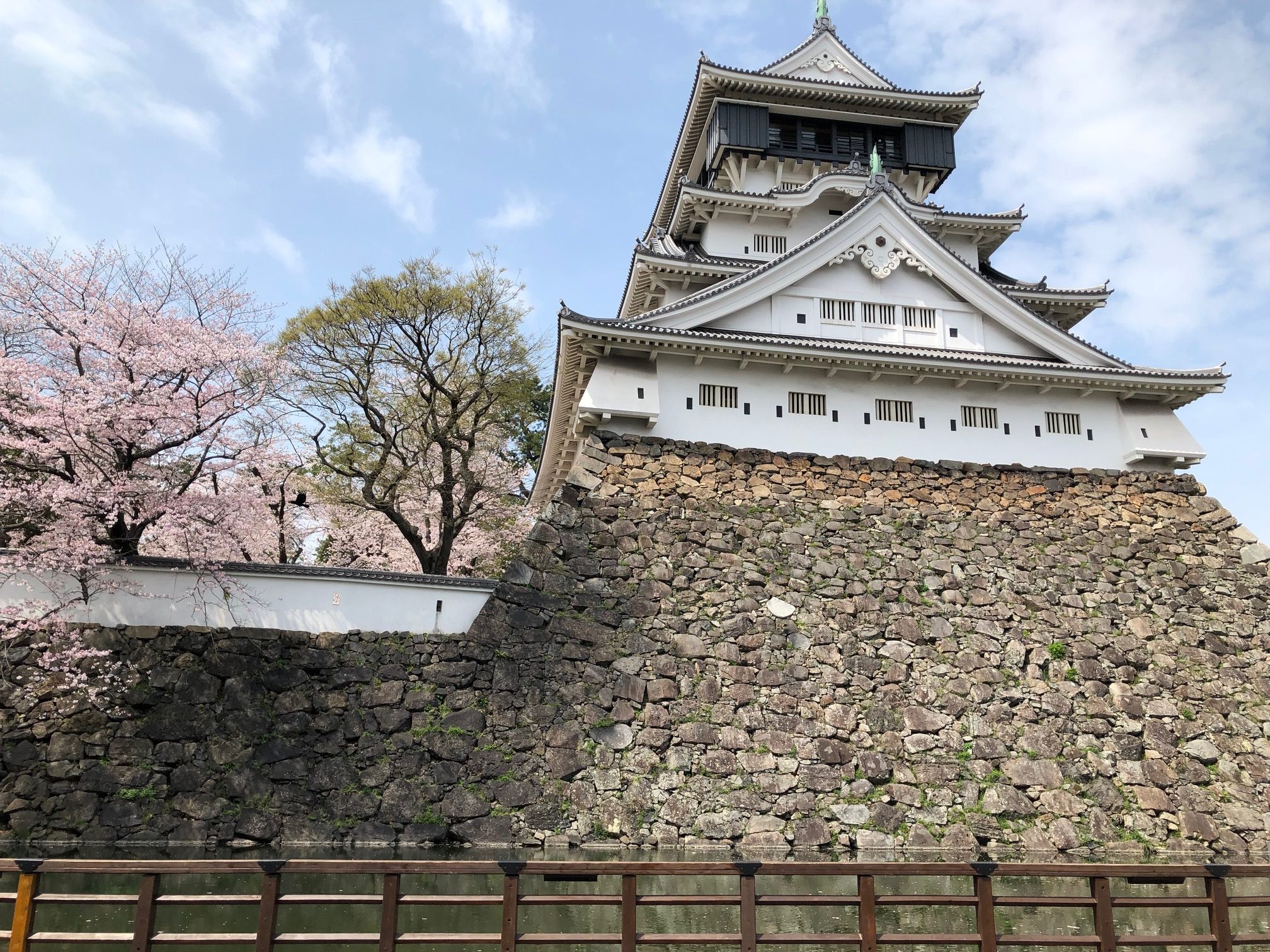 2022年　３月３０日　桜満開