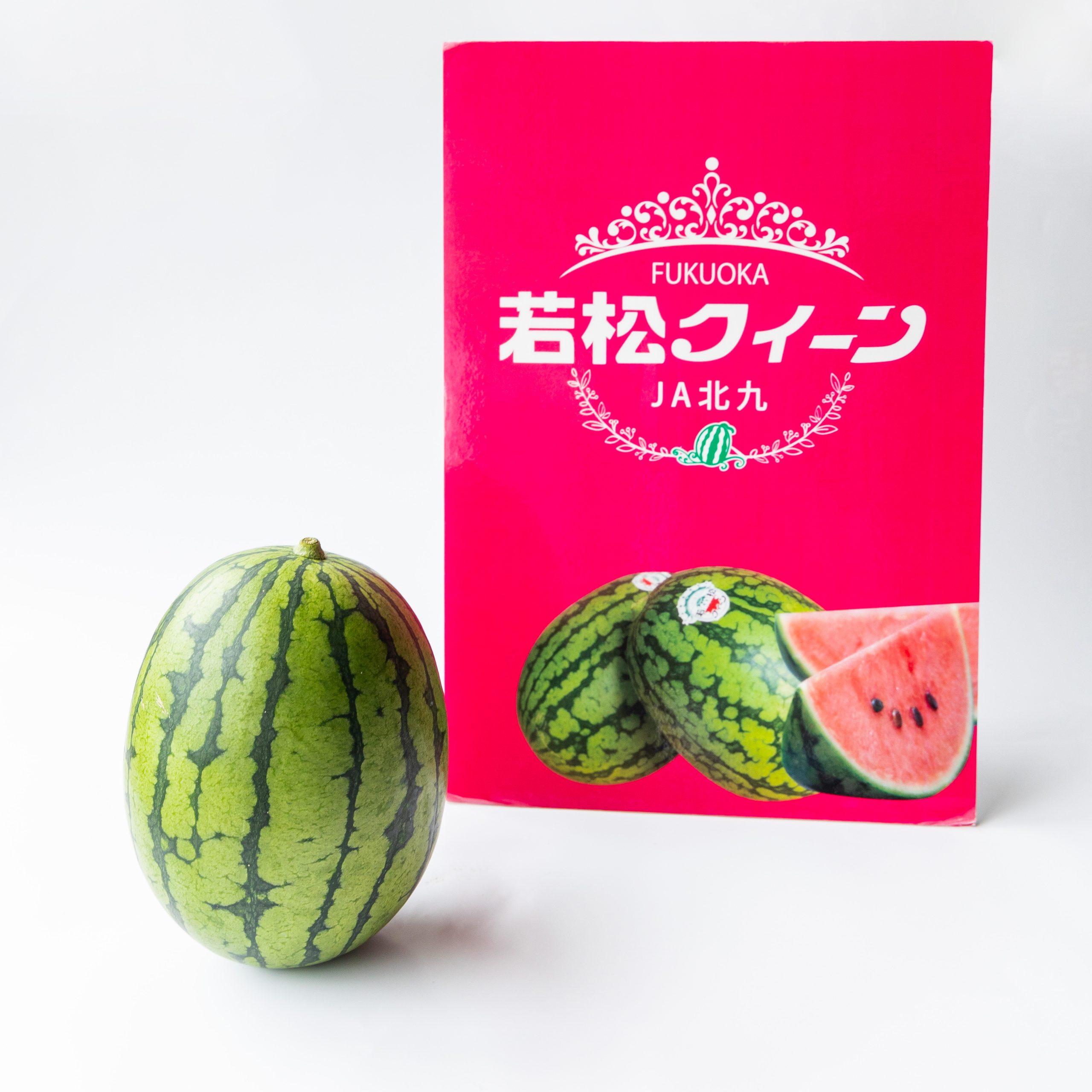 PRESS RELEASE】2024年度北九州市ふるさと納税返礼品ラインナップ公開 – 小林青果株式会社ホームページ