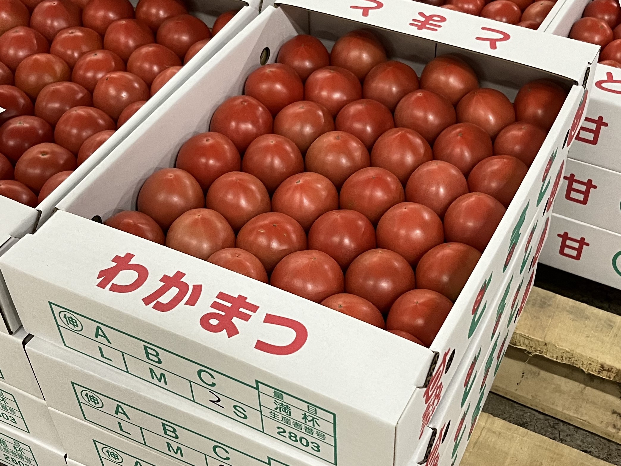 PRESS RELEASE】2024年度北九州市ふるさと納税返礼品ラインナップ公開 – 小林青果株式会社ホームページ