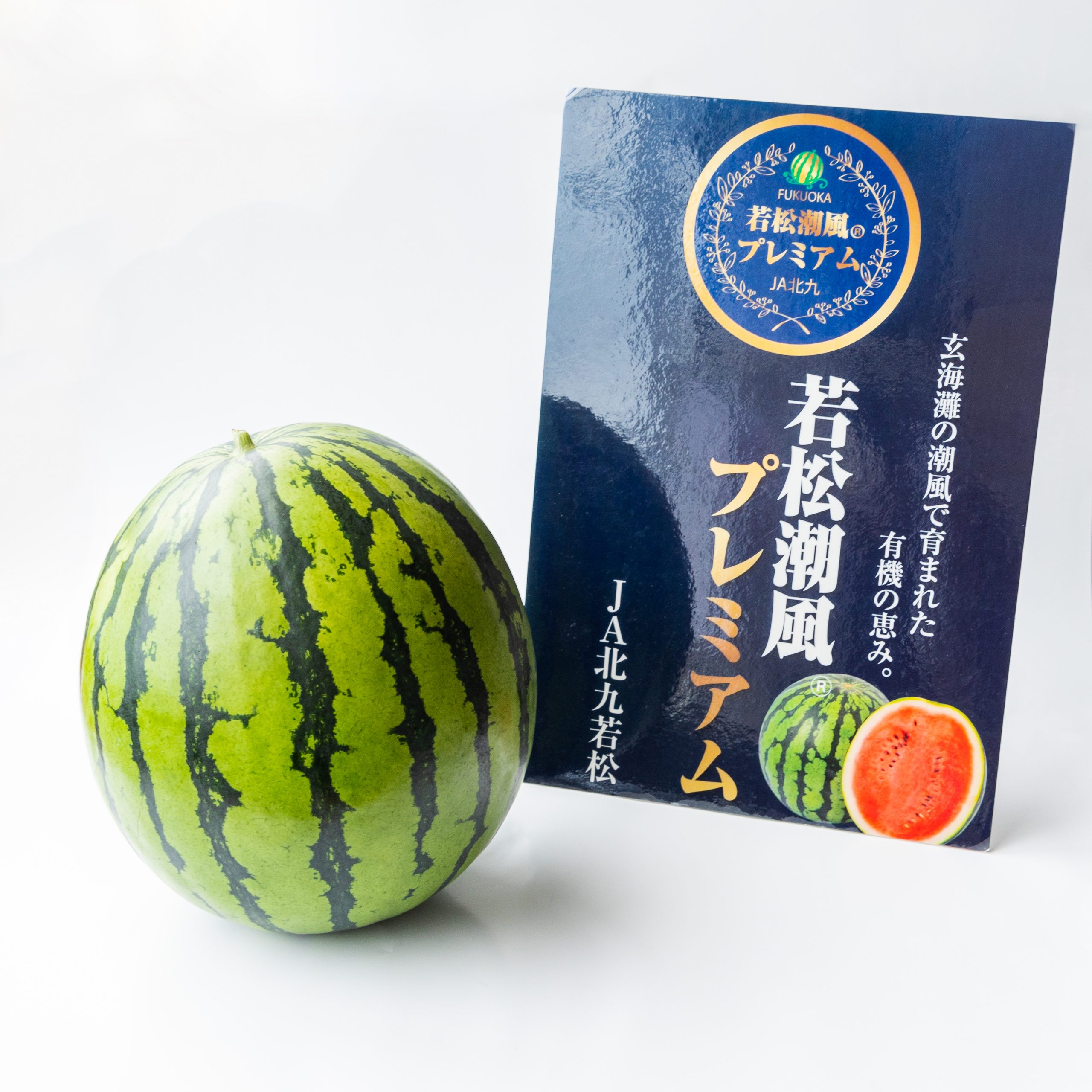 PRESS RELEASE】2024年度北九州市ふるさと納税返礼品ラインナップ公開 – 小林青果株式会社ホームページ