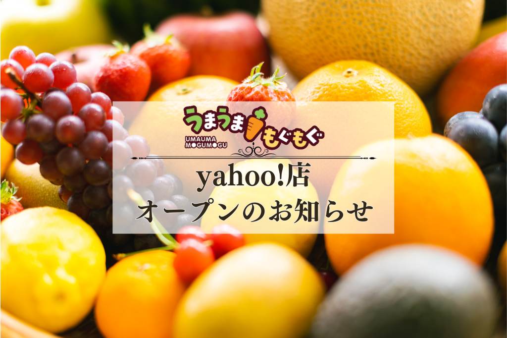 北九州市で青果仲卸業の老舗「小林青果」が運営するオンラインストアうまうまもぐもぐ Yahoo!店オープン