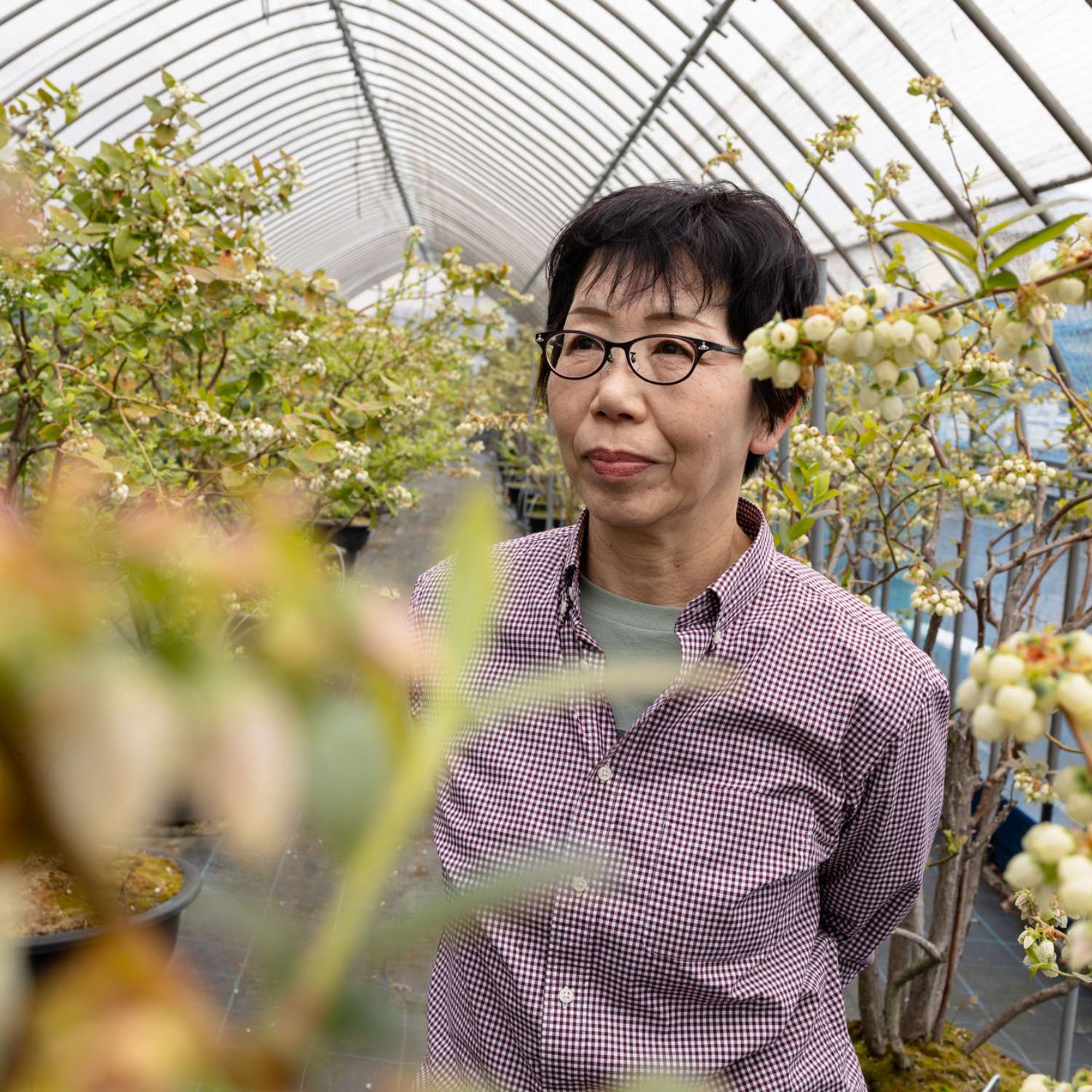 牧村さんの果樹園