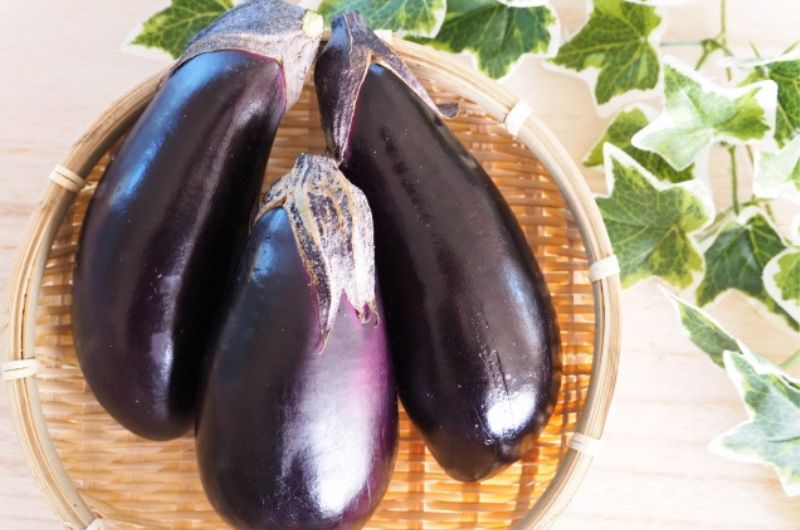 トロリおいしい「冬のナス」で元気に過ごそう