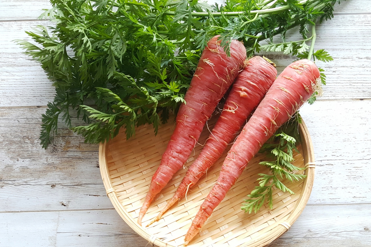 正月料理だけではもったいない！　金時ニンジンの魅力を紹介