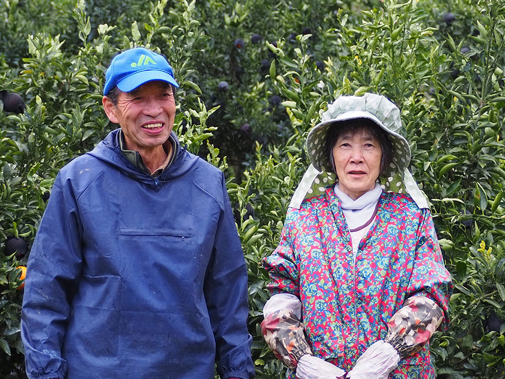 農園レポート 『岩本果樹園』