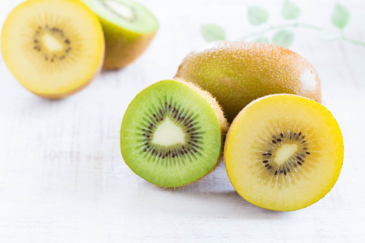 よりどりみどり♪　春のキウイフルーツを楽しもう