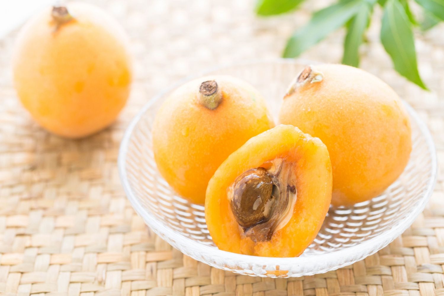 あなたもきっと好きになる…奥ゆかしい「びわ」の魅力