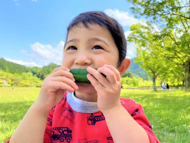 6月４日～10日は「歯と口の健康週間」楽しく噛んで健康に！野菜のオノマトペ