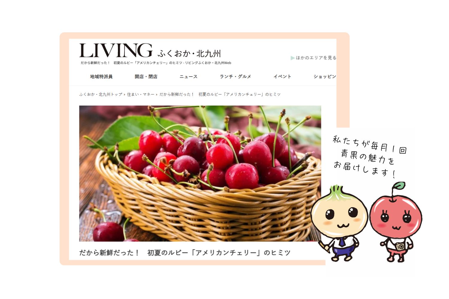 リビングwebのコラム「だから新鮮だった！　初夏のルビー・アメリカンチェリーのヒミツ」を更新しました