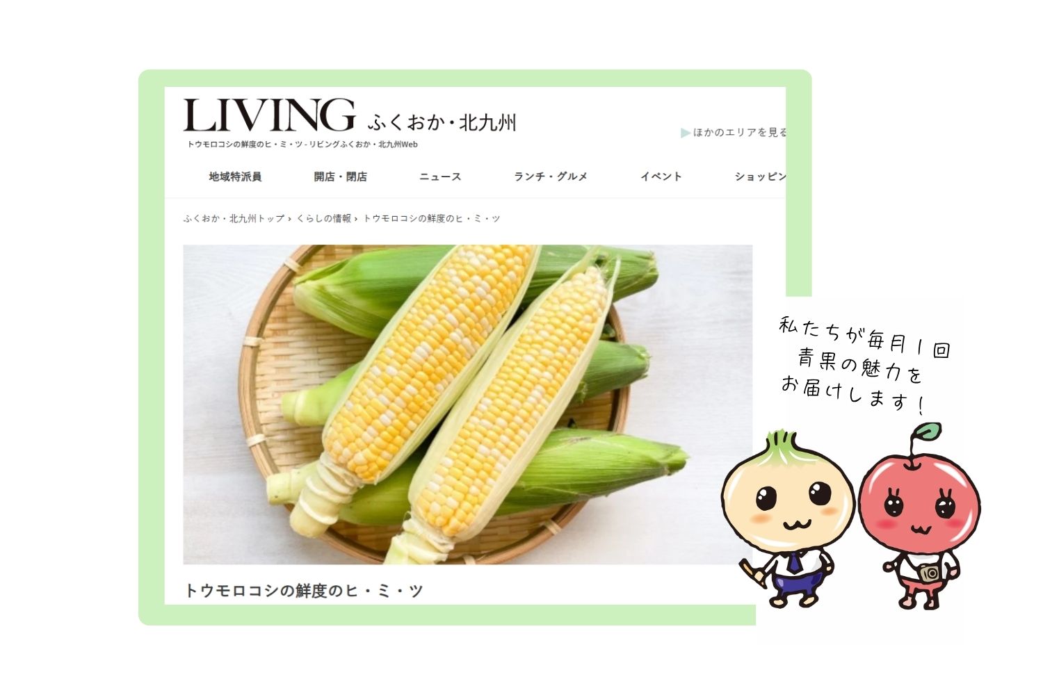 リビングwebのコラム「とうもろこしの鮮度のヒ・ミ・ツ」を更新しました