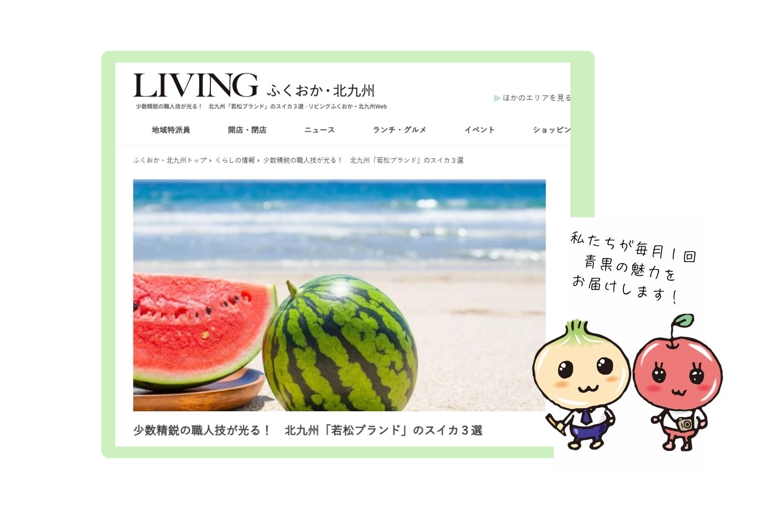 リビングwebのコラム「少数精鋭の職人技が光る！　北九州『若松ブランド』のスイカ３選」を更新しました